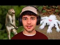 Nature is TERRIFYING