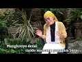 Download Lagu GANGGAM BARO  vocal: NELVA SYAIR  cipt : Agus taher