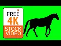 Free Stock s - Horse silhouette Walking on green screen seamless loop