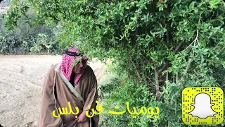 العنب يا اهل العنب دندنها