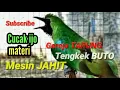 Download Lagu 🧶Ngeri komplete mashee_cucak ijo materi_geraja_tengke buto_mesin jahit