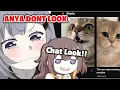 Download Lagu Anya exposed Zeta's CAT youtube recommendation !!!