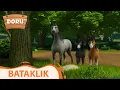 Lagu Bataklık | Doru | 19.Bölüm