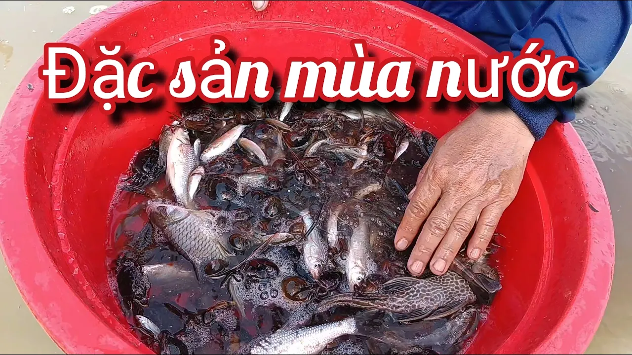 Đặc sản mùa nước nổi 15