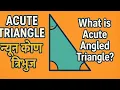 Acute Triangle What is Acute Angled Triangle Math Geometry Explained