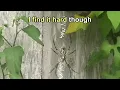 wave to earth - courage (Karaoke)