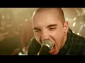 Citizen - The Summer (Official Music Video)