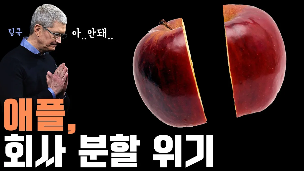 반독점 소송에 휘말린 애플