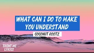 what can i do to make you understand coconut rootz official video lyrics trent mc 
