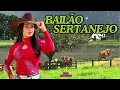 Download Lagu Bailão Sertanejo - Seleção Para Fazer Você Dançar