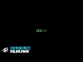 Billie Eilish - WILDFLOWER (Karaoke Version)