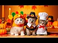 Lagu Kittens' First Thanksgiving 🥧 So Thankful for These Purr-balls!