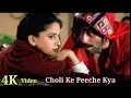 Lagu Choli Ke Peeche Kya Hai - Male | Khal Nayak | Madhuri Dixit | Sanjay Dutt | 90's Bollywood Hits Song