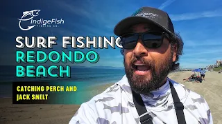 surf fishing redondo beach catching perch u0026 jack smelt on natural bait