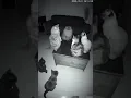 Download Lagu i hope the owner is safe after this meeting 😁😂🥰#catlover #cctoownerofthisvideo #fyp #viralvidio