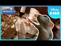 Can Remy Handle the Chef s Special Order Ratatouille Disney Kids