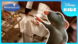 can remy handle the chefs special order ratatouille disney kids