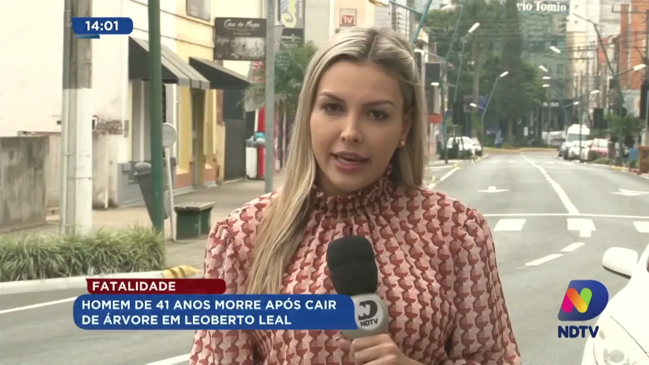 Homem de 41 anos morre após cair de árvore em Leoberto Leal