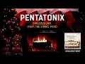 Pentatonix - Hallelujah (Yule Log) ft. The String Mob