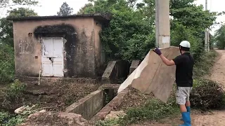 clean the house
