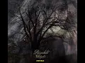 Lagu Rúnahild - Seidgaldr Full Album