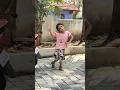 Download Lagu legay legay, Try it💃#youtubeshort #bollywood #hindisong#ayishu☺️