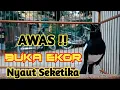 Download Lagu PANCINGAN KACER GACOR KONSLET, SEKALI DENGAR KACER LAIN LANGSUNG EMOSI NYAUT ON TELER
