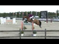 Download Lagu Luciana Diniz \u0026 Lighthouse Girl - CSI2*Peelbergen 1.45m - Jump Off