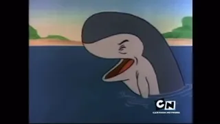 Whale Sneeze