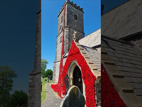 Poppy Project - VE Day 2025