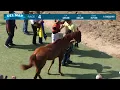 Mo Diamontes wins race 4 at Del Mar 26