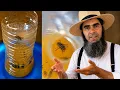 BEST DIY Fly Trap to Get Rid of Flies and Fruit Flies