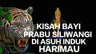 kisah bayi prabu siliwangi diasuh induk harimau di tengah hutan belantara