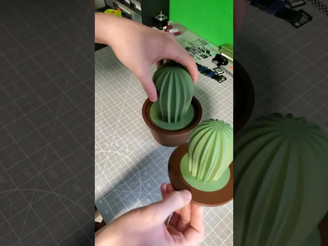 Cactus Organizer Pot with Hidden Storage Compartments.stl video thumbnail