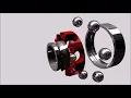 RODAVICTORIAUSAfinal