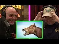 Joe Rogan tells Shane Gillis about Mr Hands Saddle up Partner JRE 1957