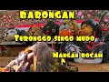 Download Lagu BARONGAN TURONGGO SINGO MUDO MANGAN BOCAH NDADI MASAL
