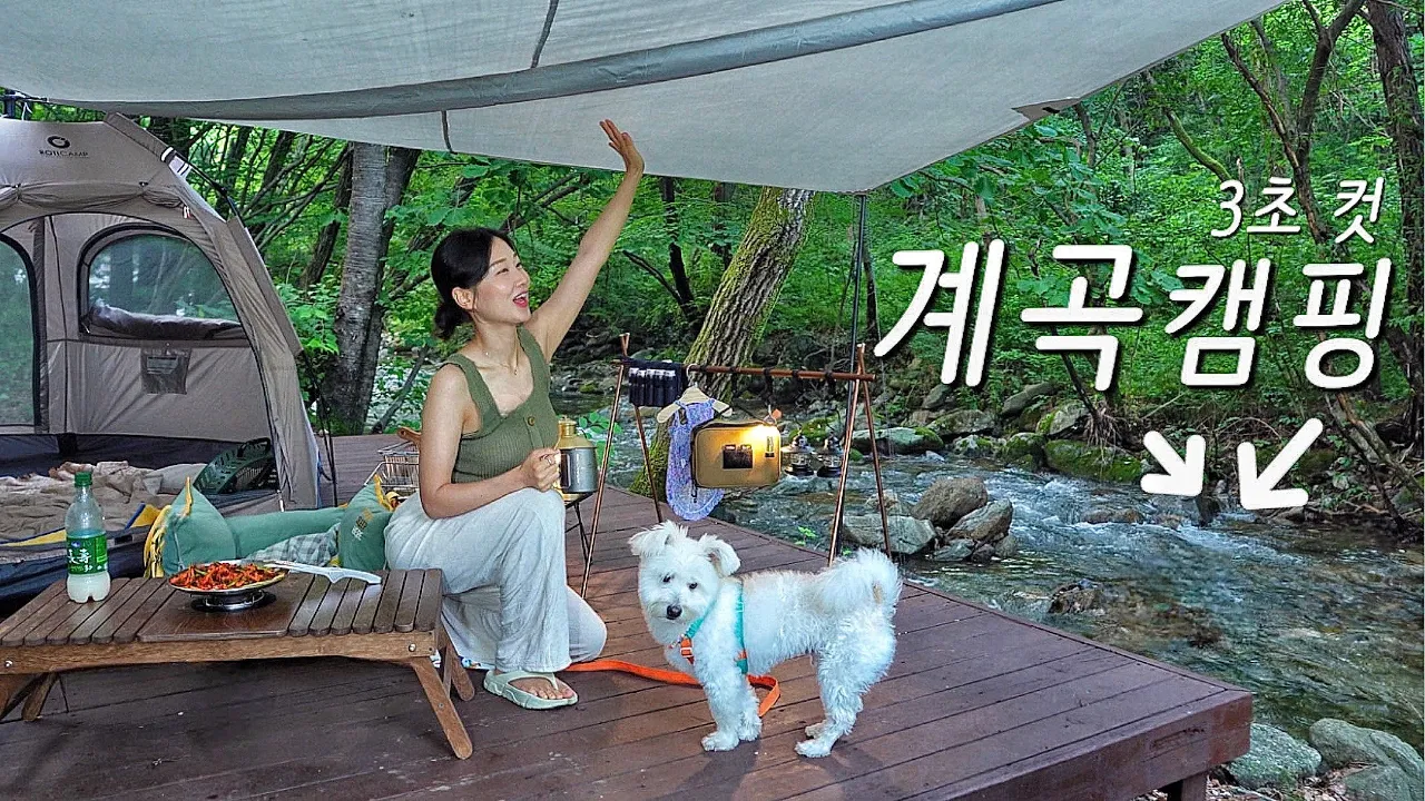 【애견동반 캠핑】 30℃ 뜨거운 여름🔥 데크 바로 옆 3초 컷 계곡 캠핑장 / 여름캠핑 맞춤 세팅 / 덕동골 오토 캠핑장 / Solo Camping 썸네일