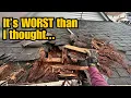 Roll Roofing A Small Flat Roof Restoring A Neglected Hoarder House Part 20
