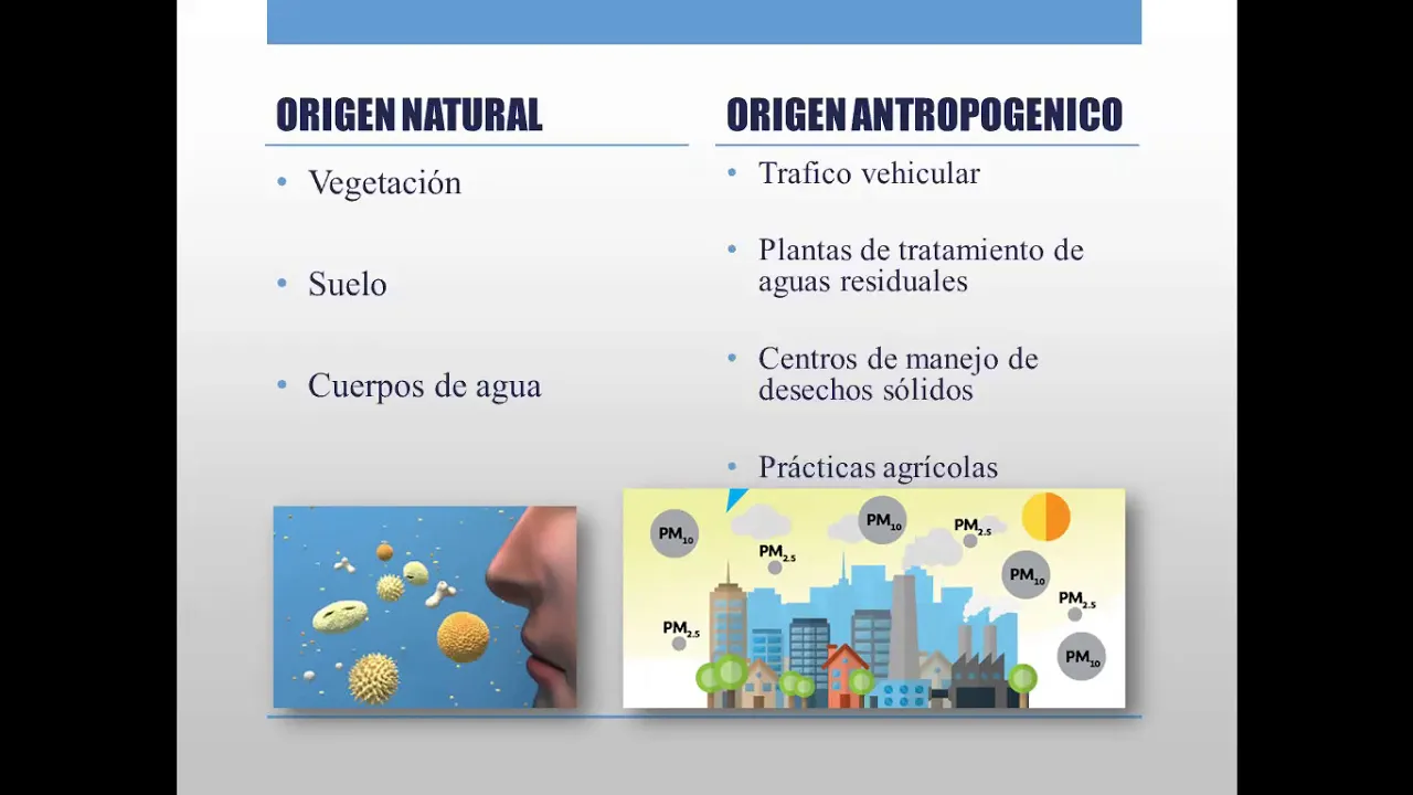 MICROBIOLOGIA DEL AIRE