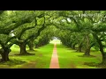 Download Lagu Mishray Rashid al Afasy - Adhfaita....beautiful...2017