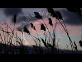 [Melodic House] Ben Böhmer & Spencer Brown - Phases (Extended Mix)