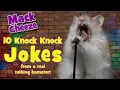 Jokes for Kids 10 Knock Knock Jokes