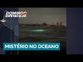 Luzes misteriosas no Oceano intrigam especialistas; entenda