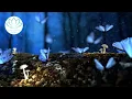 Download Lagu Meditatie om stress en spanning los te laten en diep te ontspannen (versie 1.0)