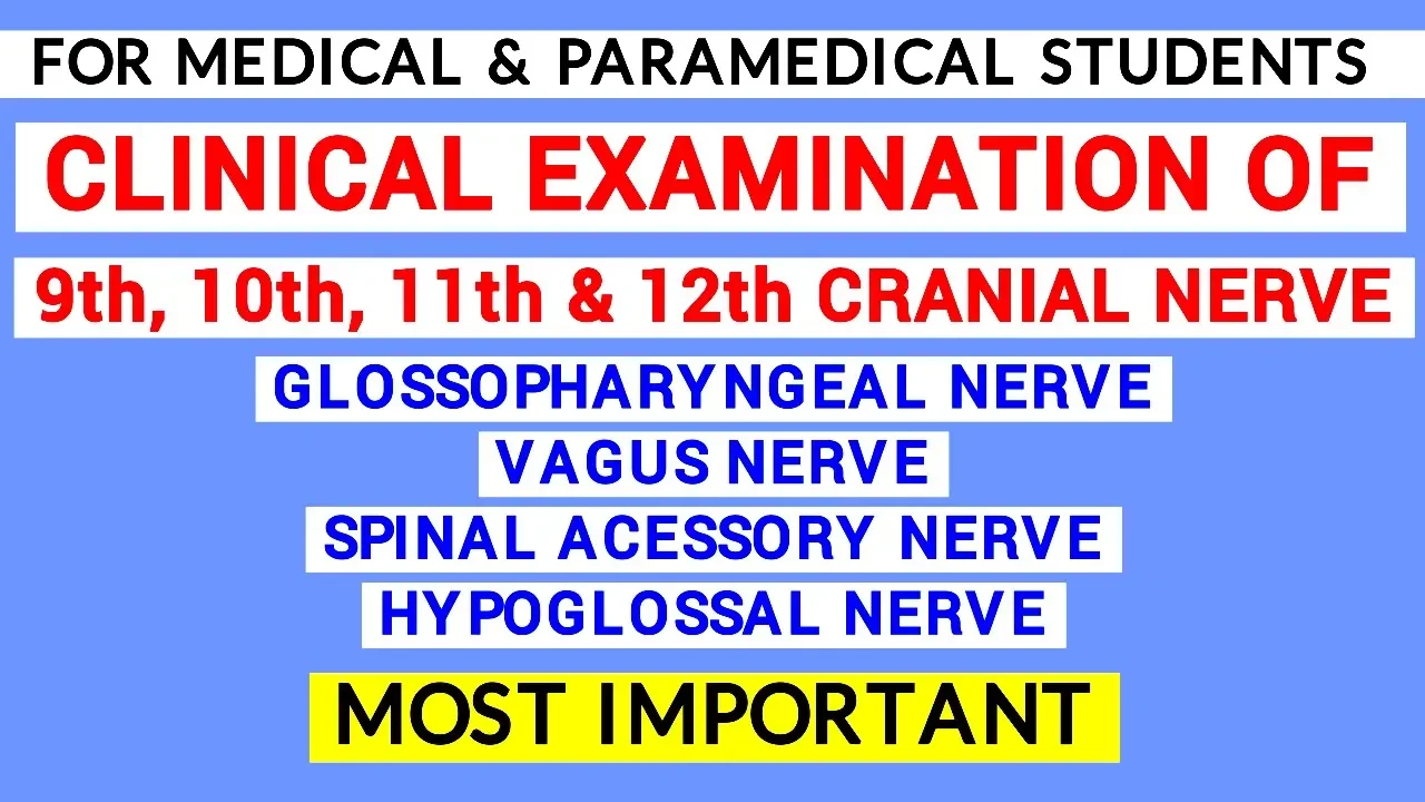 9th, 10th,11th & 12th CRANIAL NERVE EXAMINATION | CLINICAL LAB | PHYSIOLOGY