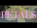 Download Lagu VOILÀ - Petals (Official Lyric Video)