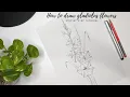 How to draw Gladiolus flowers Simple and easy drawing Step by step tutorial