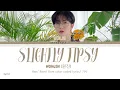 WONJIN ( 원진 ) - SLIGHTLY TIPSY (COVER) ( Han/ Rom/ Eng color coded lyrics/가사 )