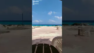 انا الأفراح والأرباح 